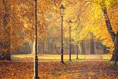 Herfstbomen en lantaarns in het park