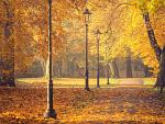 Herfstbomen en lantaarns in het park