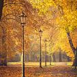 Herfstbomen en lantaarns in het park