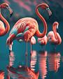 Flamingo's in water