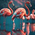 Flamingo's in water