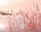 Winters landschap met roze gloed