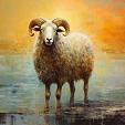 Artistiek olieverfschilderij met schaap