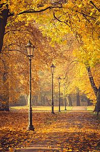 Herfstbomen en lantaarns in het park