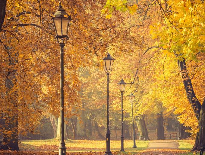 Herfstbomen en lantaarns in het park