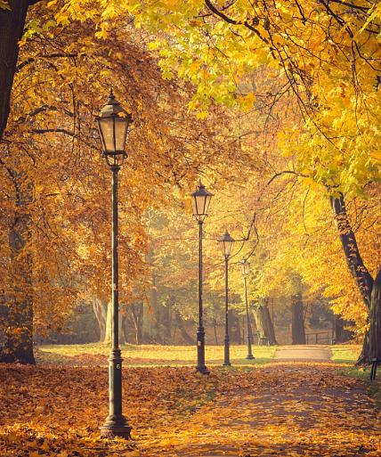 Herfstbomen en lantaarns in het park