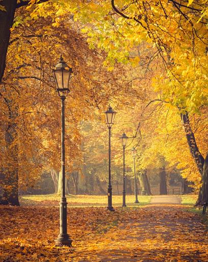 Herfstbomen en lantaarns in het park