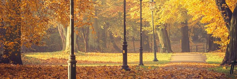 Herfstbomen en lantaarns in het park