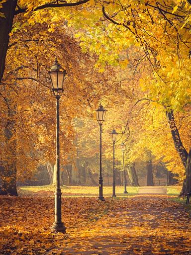 Herfstbomen en lantaarns in het park