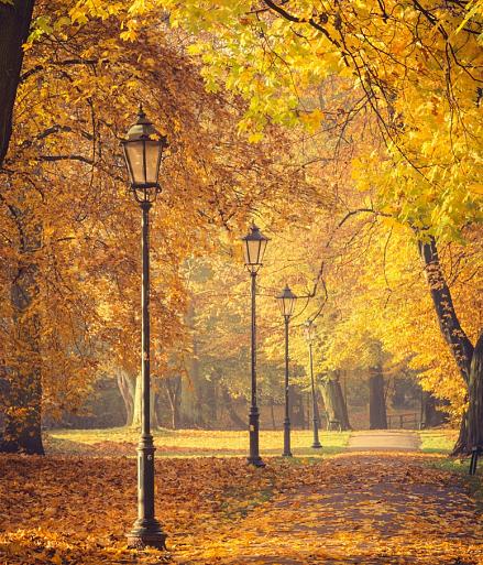 Herfstbomen en lantaarns in het park