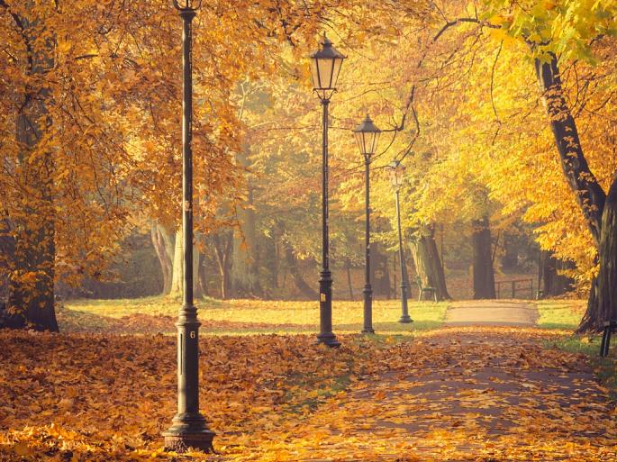 Herfstbomen en lantaarns in het park