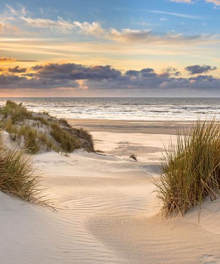 In de duinen met zonsondergang op eiland Ameland, Nederland