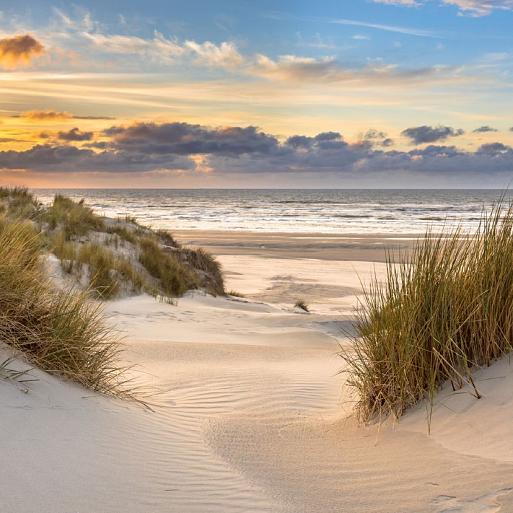 In de duinen met zonsondergang op eiland Ameland, Nederland